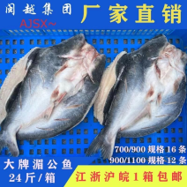 开背巴沙鱼专用烤鱼纸包鱼商用冷冻龙利鱼整条湄公鱼凌波鱼