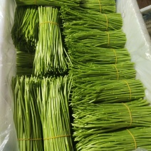 云南新鲜芦蒿
