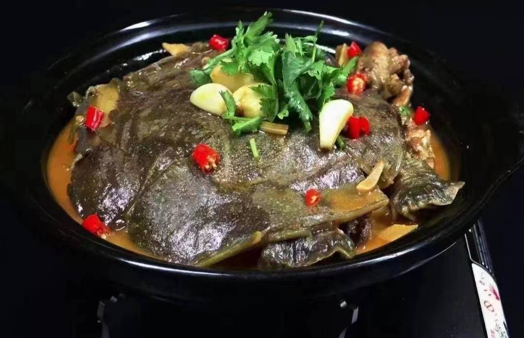 甲鱼炖煮过程图