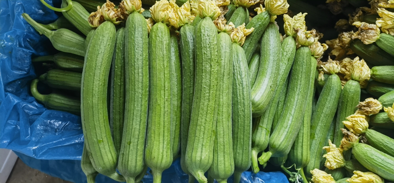 一碗新鲜的洋葱丝与黄瓜、胡萝卜混合的凉拌沙拉,颜色鲜艳,适合健康饮食 洋葱凉拌沙拉