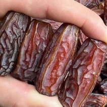 黄金椰枣