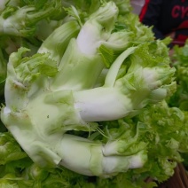 成都儿菜