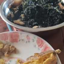 二水紫菜