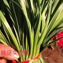 精品韭菜
