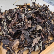 普洱白茶