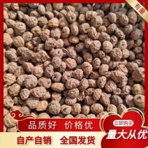 新疆精品油莎豆，颗颗饱满大量供应产地直发，可视频看货！