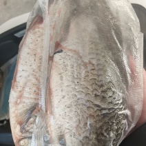 水产
