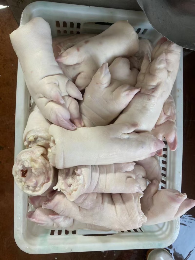 母猪一级蹄大厂家货质量好干货带筋