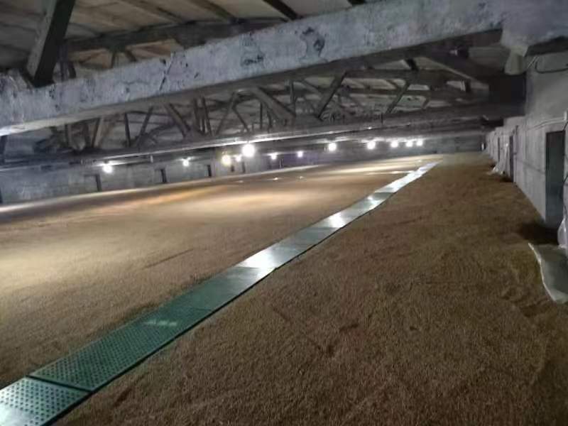 小米加工生产线