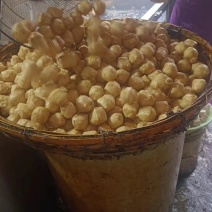 油豆腐