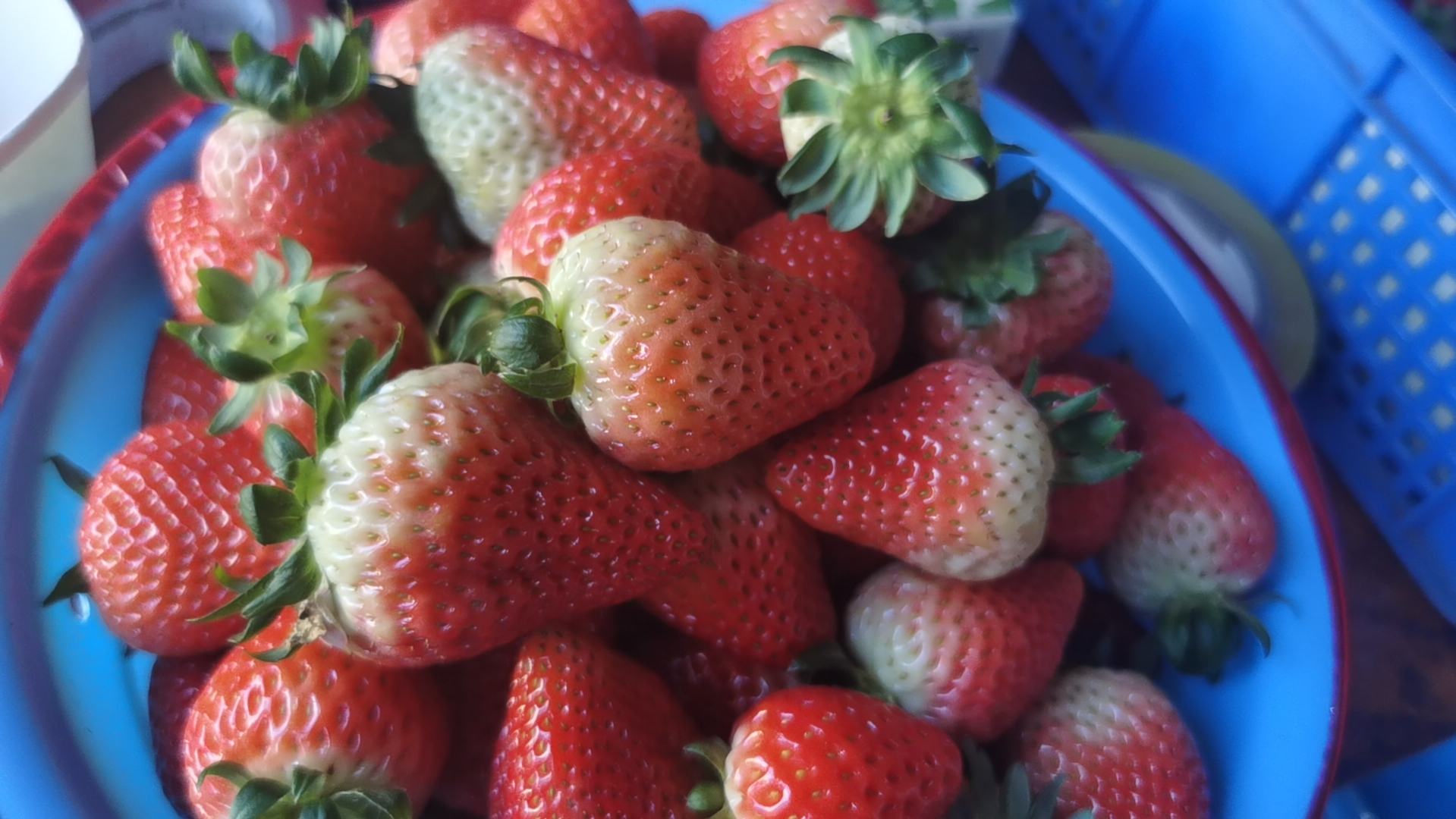 孕妇享用奶油草莓