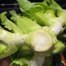 大心儿菜