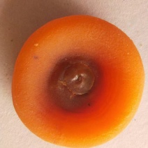 恭城柿饼