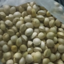 白果