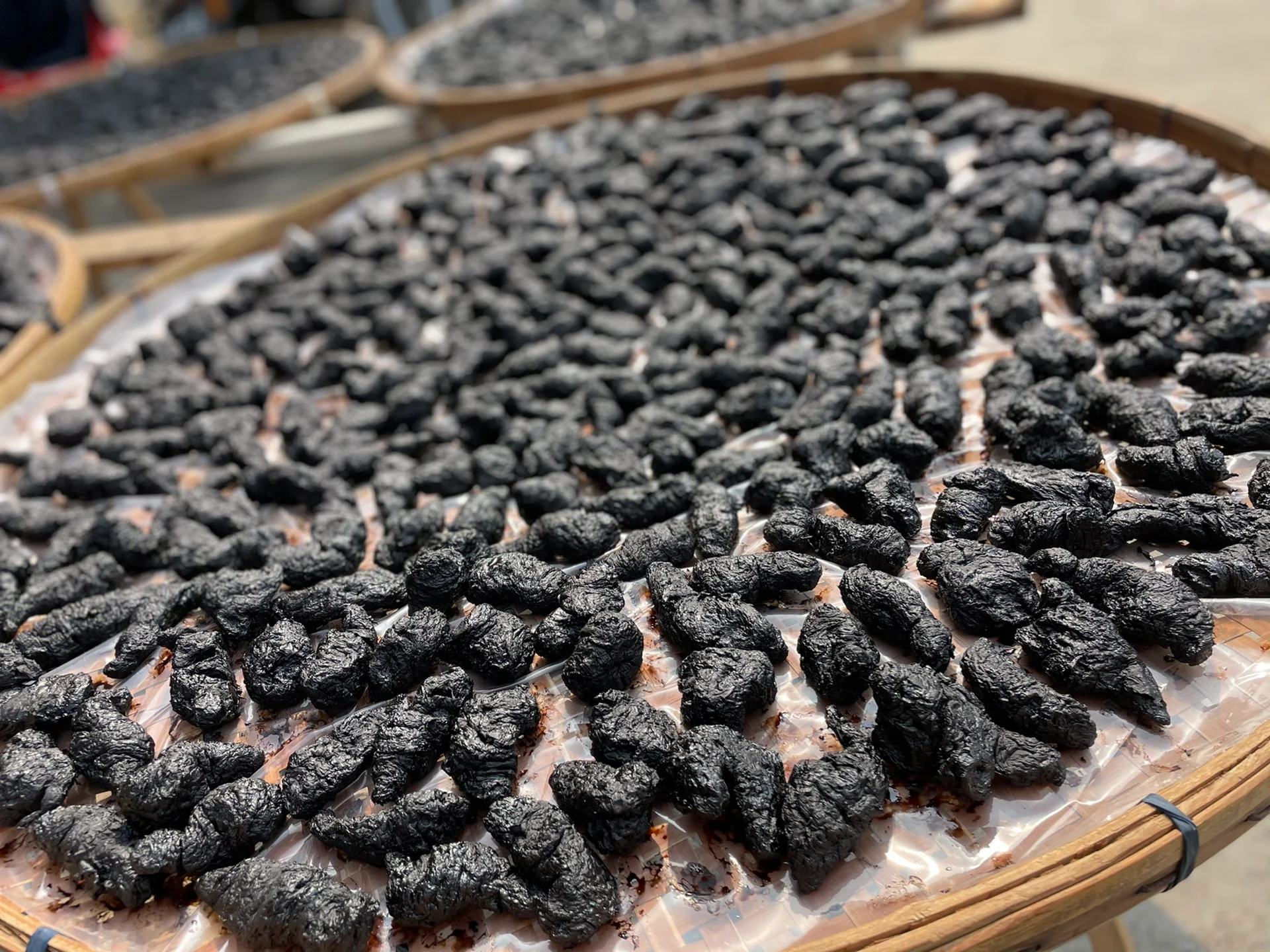 展示油松节在中药炮制过程中炒制或酒炙的步骤,突出其传统加工方式 油松节炮制过程示意图