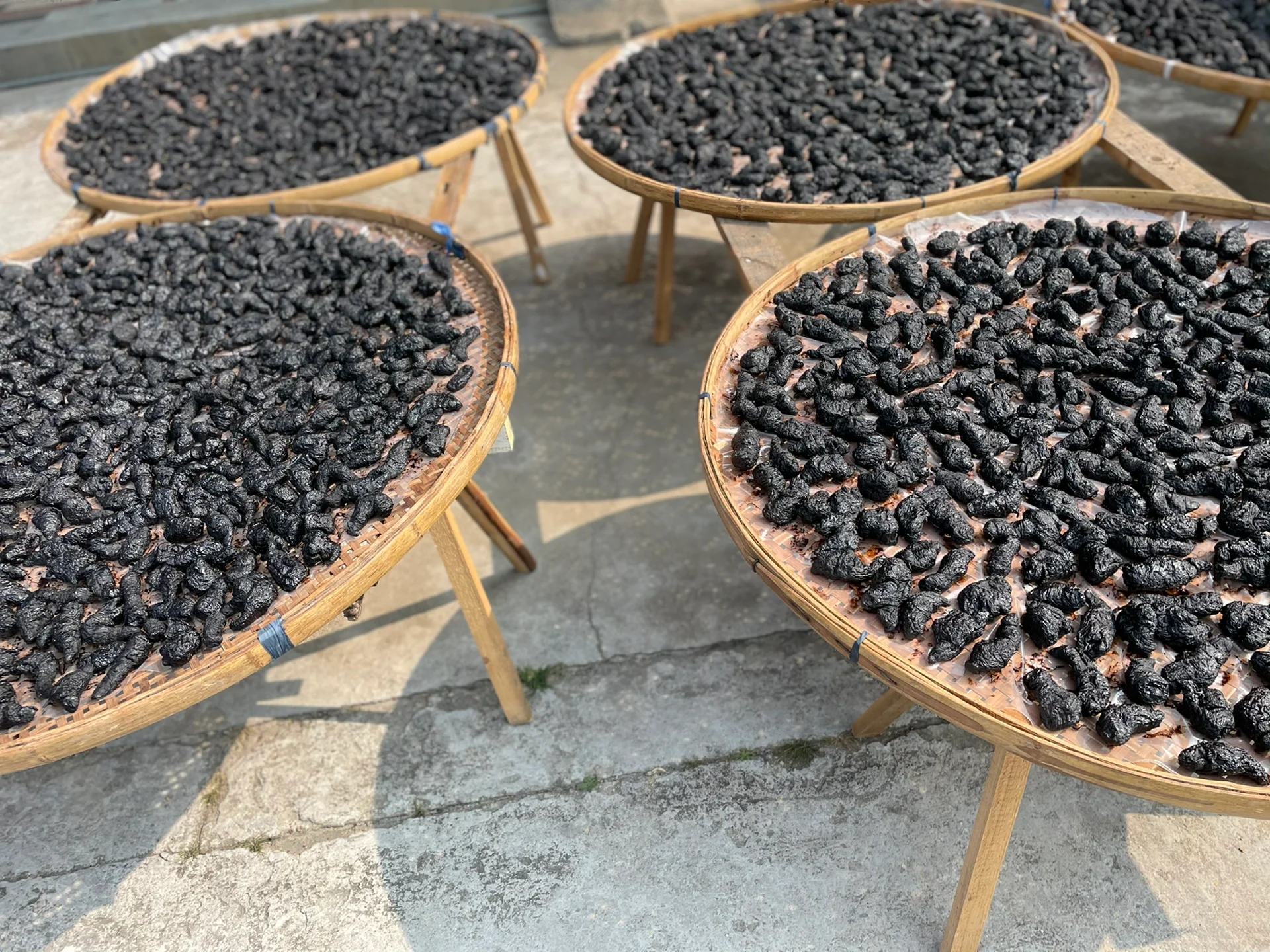 展示传统中药炮制场景:工人正在将黑色油润的地黄从蒸笼中取出,背景为木质蒸架与阳光下晾晒的药材,体现‘九蒸九晒’工艺流程 熟地黄九蒸九晒过程示意图