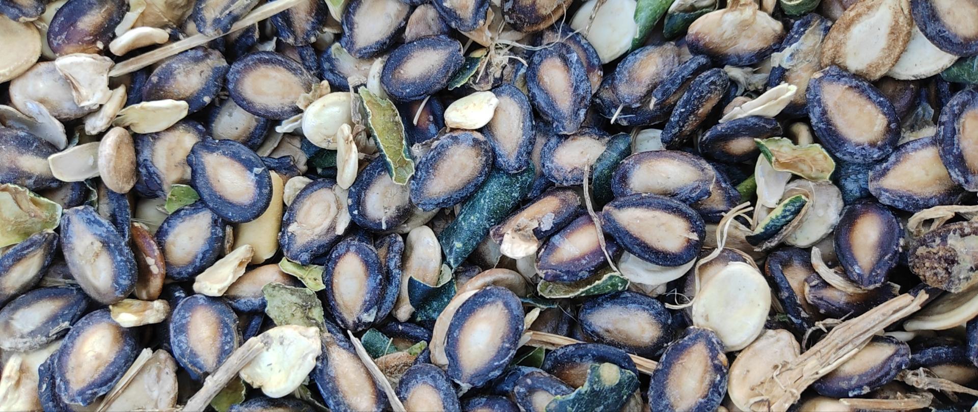 西瓜不新鲜的外部特征