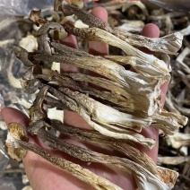A级鹿茸菇干鹿茸菇鹿茸菇嫩仔D级鹿茸菇无碎片价格美丽