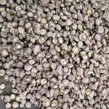 白花菇干香菇食用菌干货原产地直销大量供应保质保量