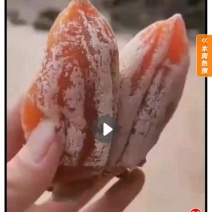 富平县罗小彦农家柿饼