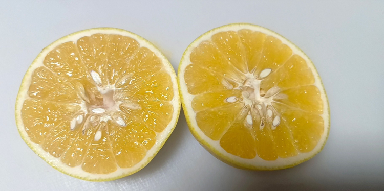 黄金柚与葡萄柚对比图