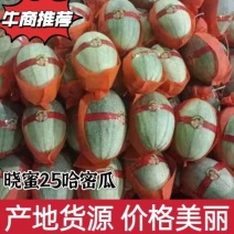 精品哈密瓜晓蜜25糖度15个货源充足品质保证