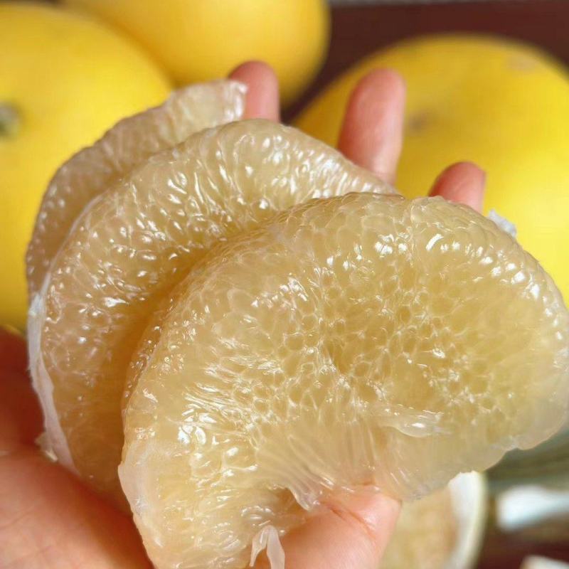 [文旦柚批发]玉环老树文旦柚价格45.00元/件 - 一亩田