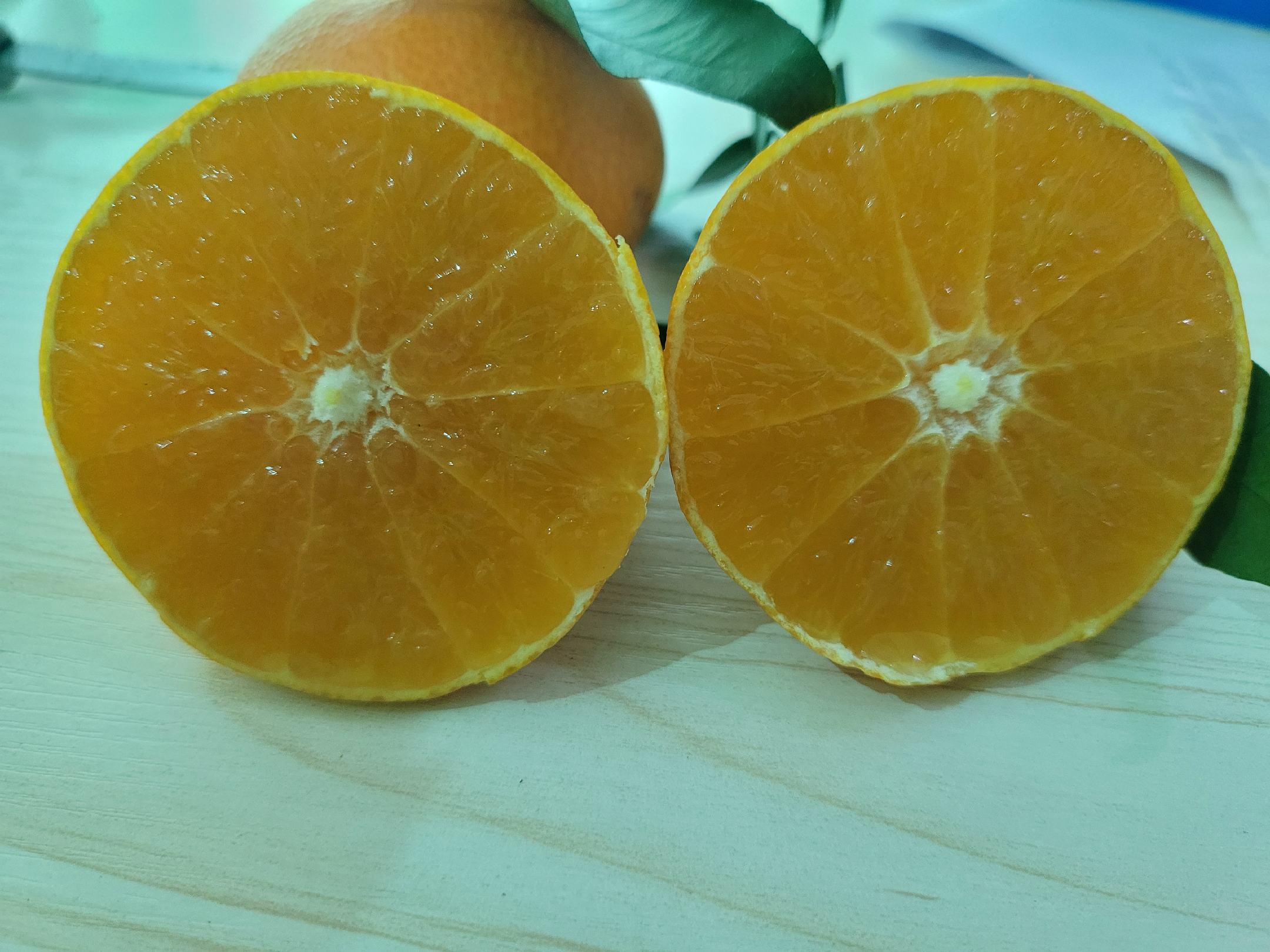 赣南脐橙与爱媛果肉切面图