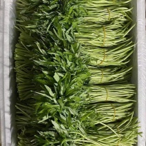 芦蒿毛货