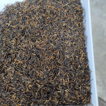 金骏眉红茶