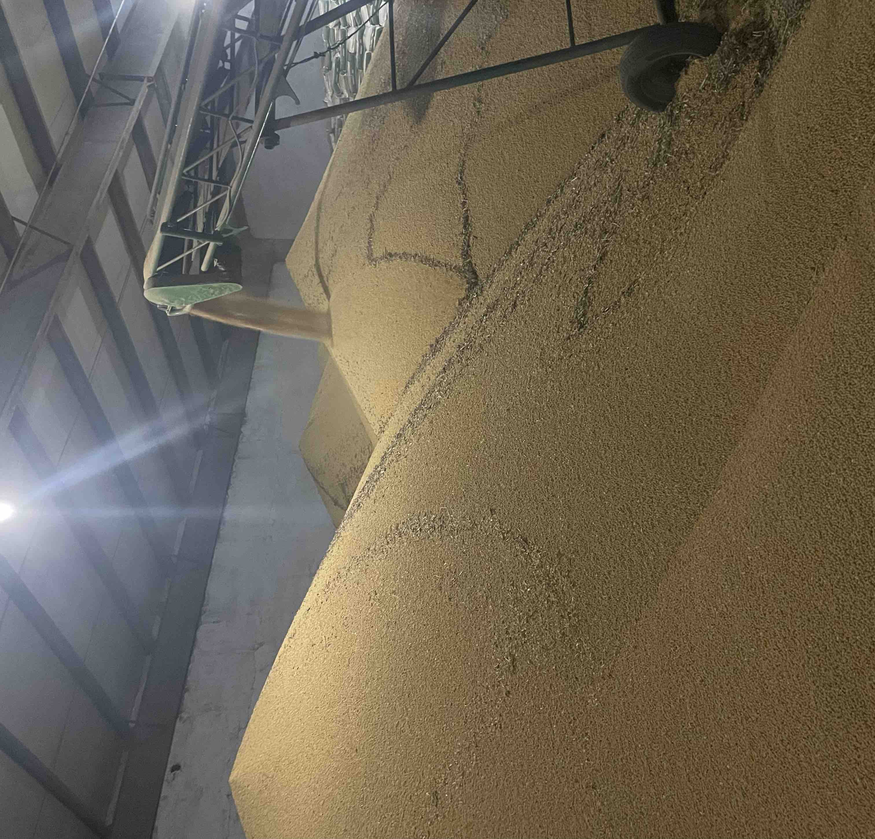 现代化粮食仓库内部俯视图,成堆的金黄色大豆铺满地面,配有温湿度传感器和通风管道设施,工作人员正在操作检测设备,展现专业级大豆仓储管理场景 大型粮仓内部景象