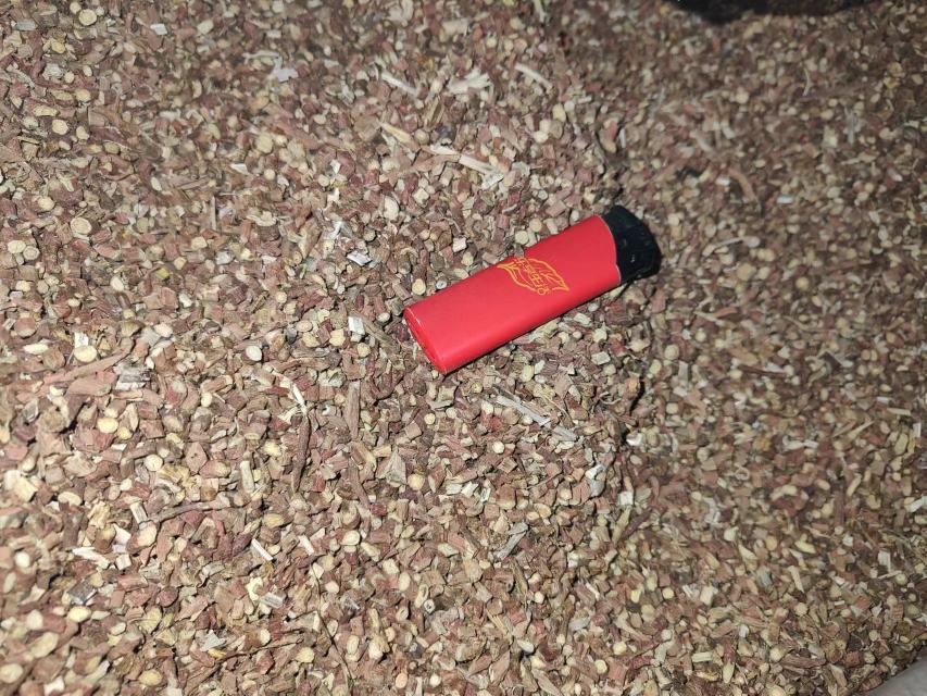 鱼腥草根泡酒过程图