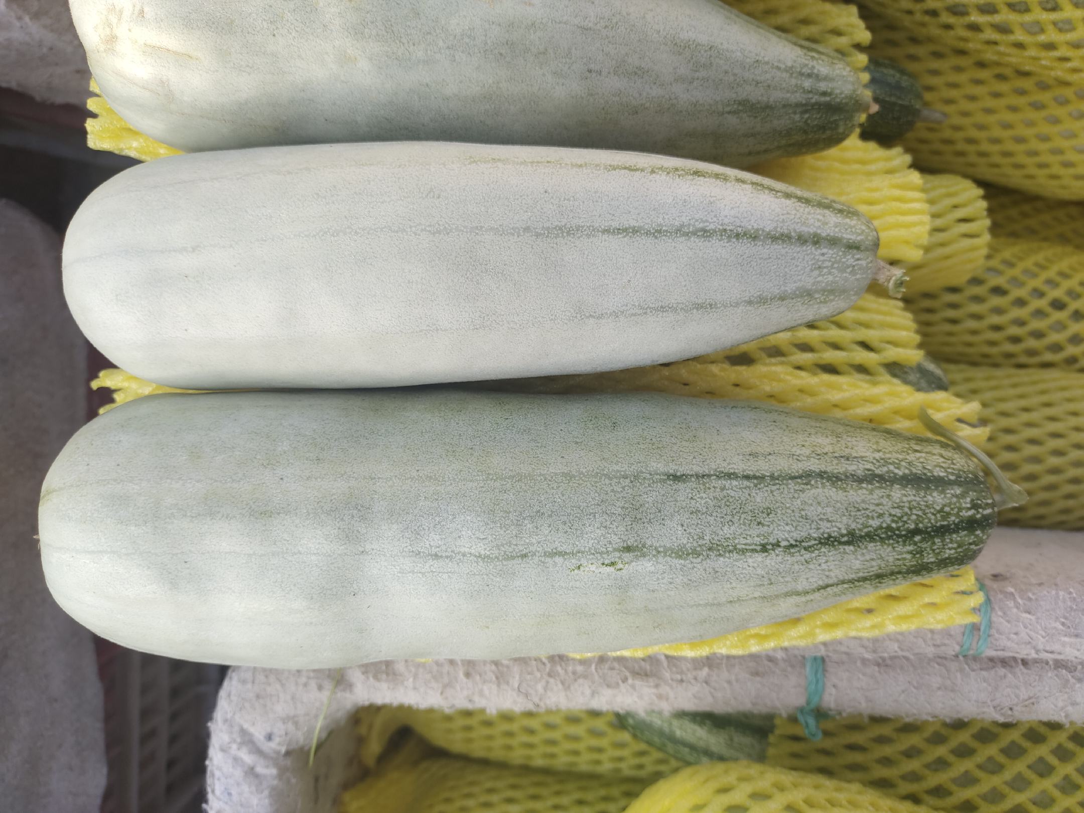 四类羊角蜜甜瓜并列展示:左侧为传统农家种(果形弯曲、表皮粗糙),中间两列为改良杂交种‘绿宝石’与‘鲁蜜1号’(果形笔直、色泽均匀),右侧为设施专用‘中蜜1号’(个头较小、果皮光滑),背景为实验室分级台,配有标尺和标签卡 不同羊角蜜甜瓜品种对比图