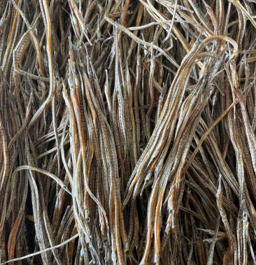 [海龙批发]海龙干 深海小海龙 海龙鱼干 泡酒海龙干地摊展会批发价格