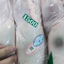 白条鸭全规格