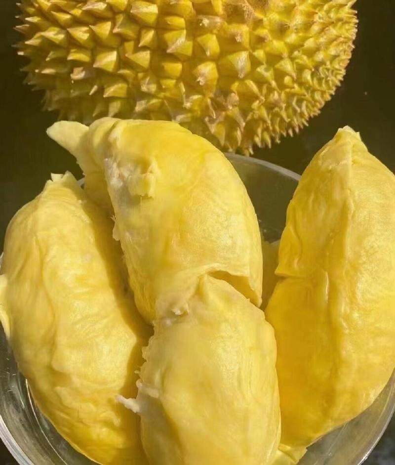 泰国金枕榴莲软糯香甜一手供应坏果包赔包售后