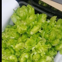 简阳儿菜