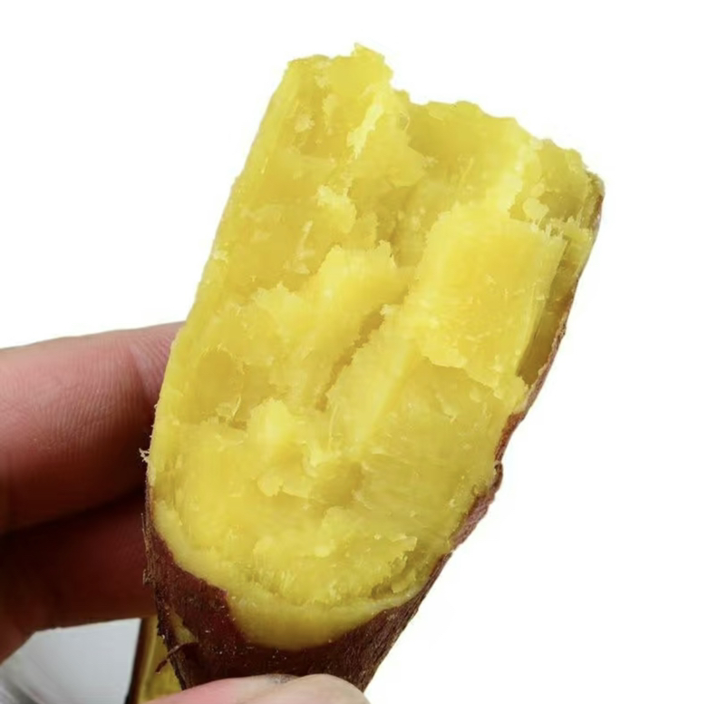 一根蒸熟的济薯26被横向切开,露出鲜艳的橙红色薯肉,表面微微泛油光,散发热气,旁边配有小勺和白色餐盘,展现其软糯质地和诱人色泽 济薯26蒸熟后切开特写