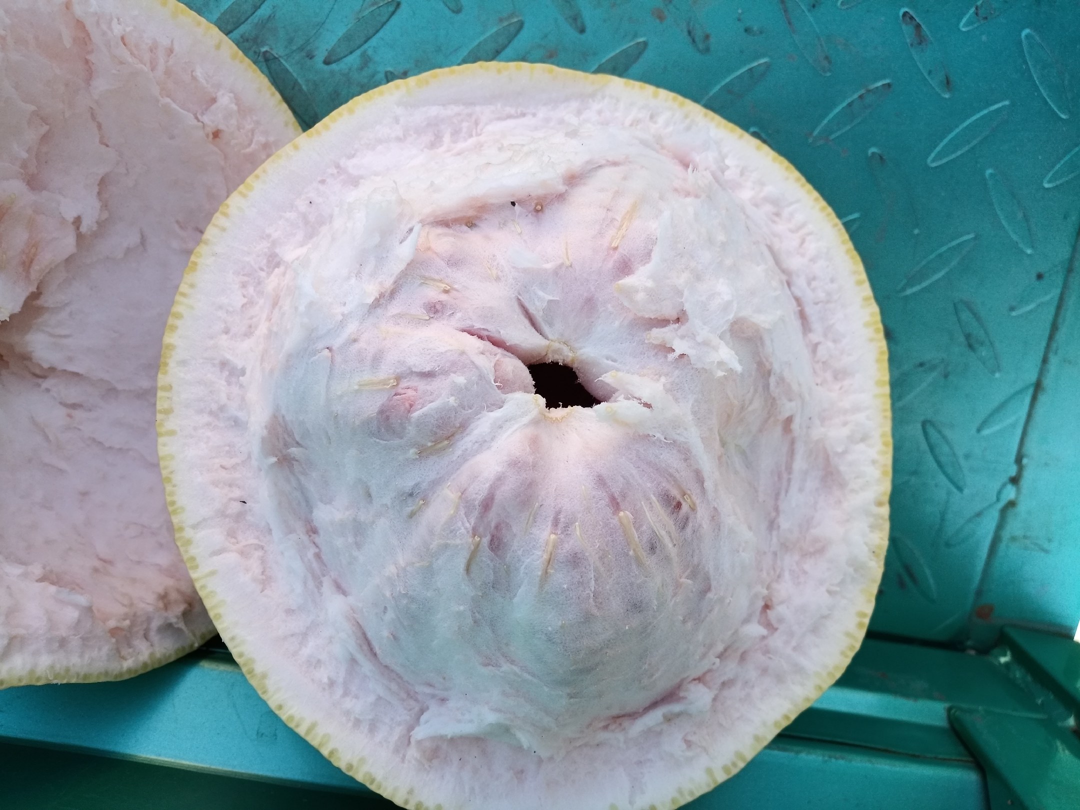 一个被横向切开的类柚水果,果肉呈淡粉色至浅橙色,瓣膜清晰,汁囊饱满,周围散落着几片果肉和一片完整果皮,背景为浅灰色石质台面,光线柔和,强调其与传统白肉柚子的视觉差异 切开展示内部结构的类柚水果