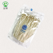 华绿金针菇200g托盘24盒/件