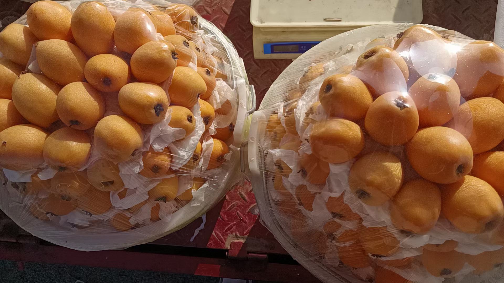 消费者在市场上挑选枇杷
