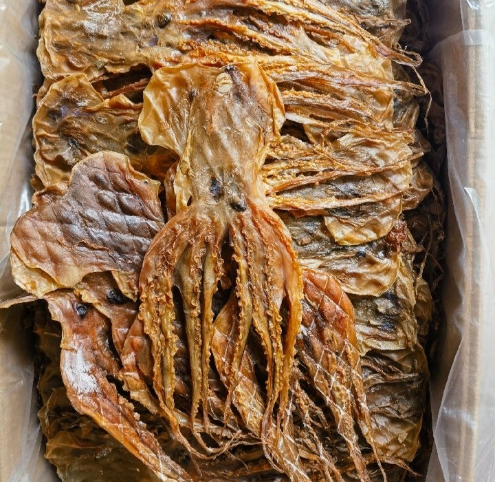 市场中售卖的鱿鱼与章鱼实物照片