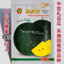 黑皮黄瓤礼品西瓜种子超甜黄肉礼品瓜种籽黑金宝西瓜种子圆形