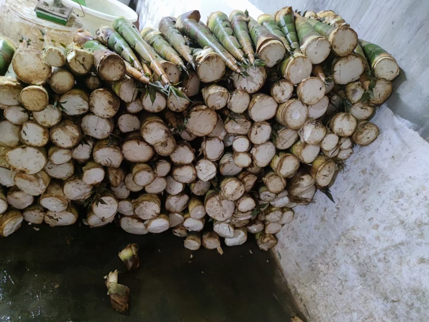 图示为泡椒笋从选材到腌制完成的全过程示意图 泡椒笋制作流程图