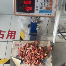 一级龙虾尾特价处理，去冰净重16斤