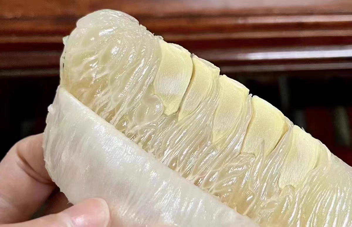 沙田柚果肉特写图片