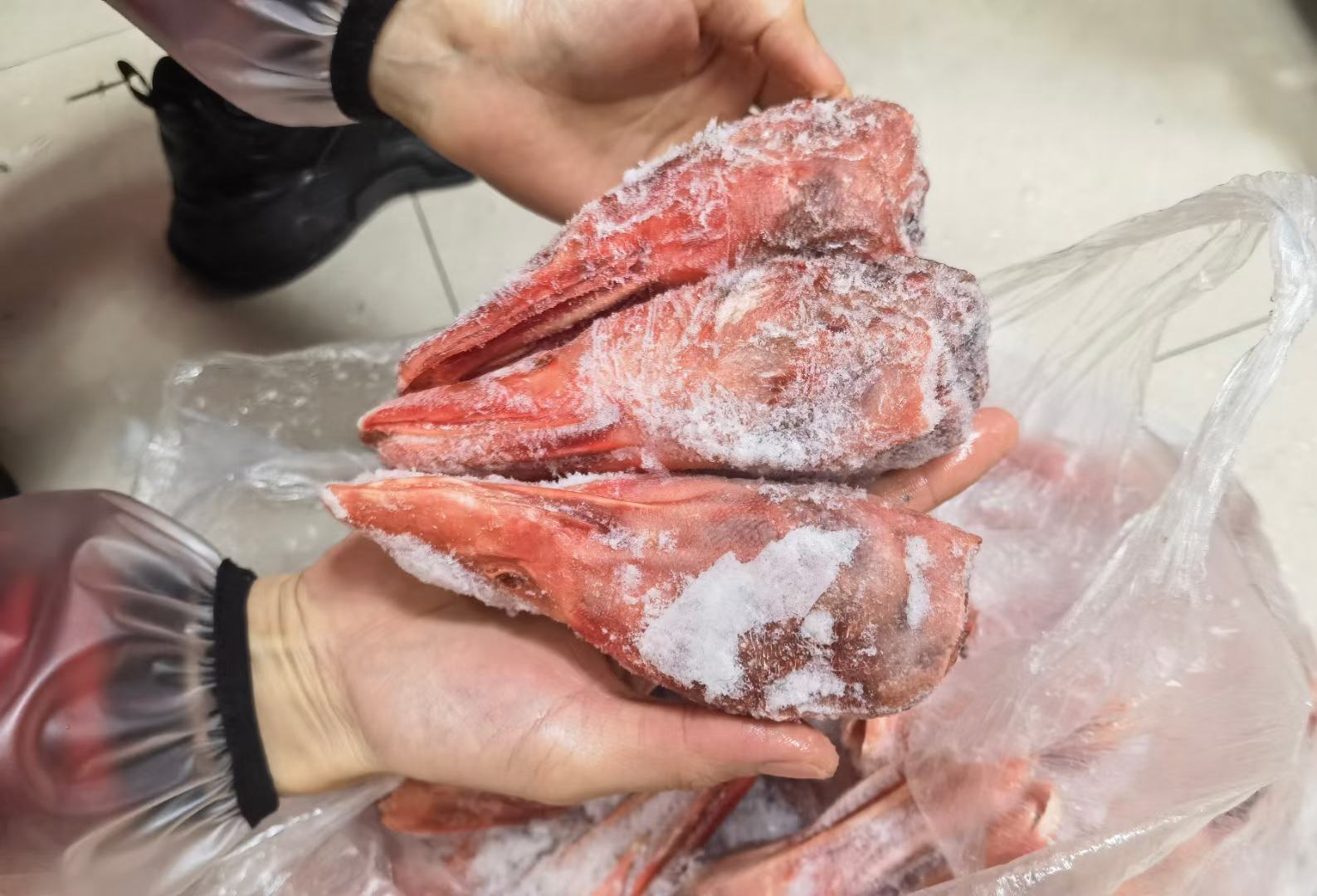 正在炖煮的青头鸭煲粉葛,锅内可见鸭肉与粉葛交融的状态 青头鸭煲粉葛烹饪过程图