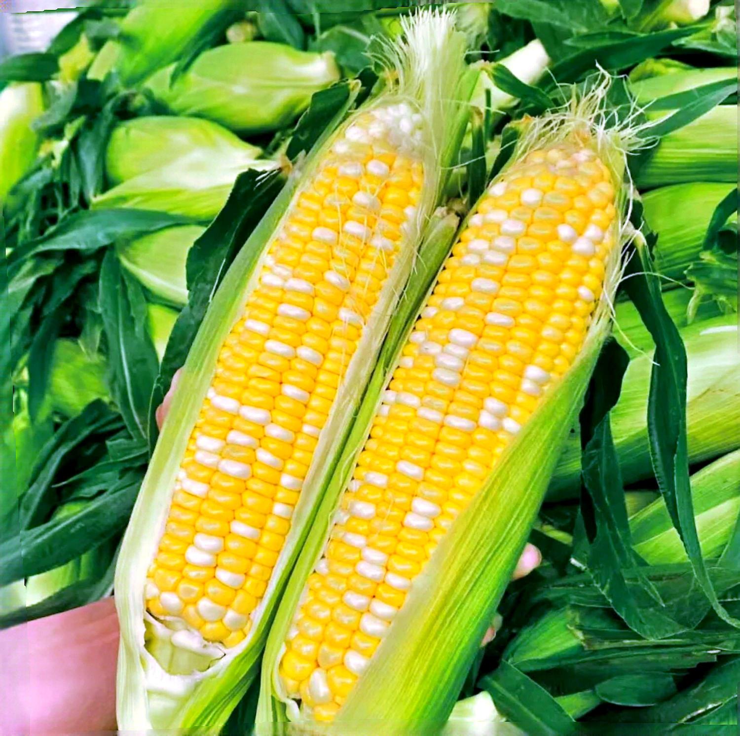 市场摊位上的玉米分类陈列