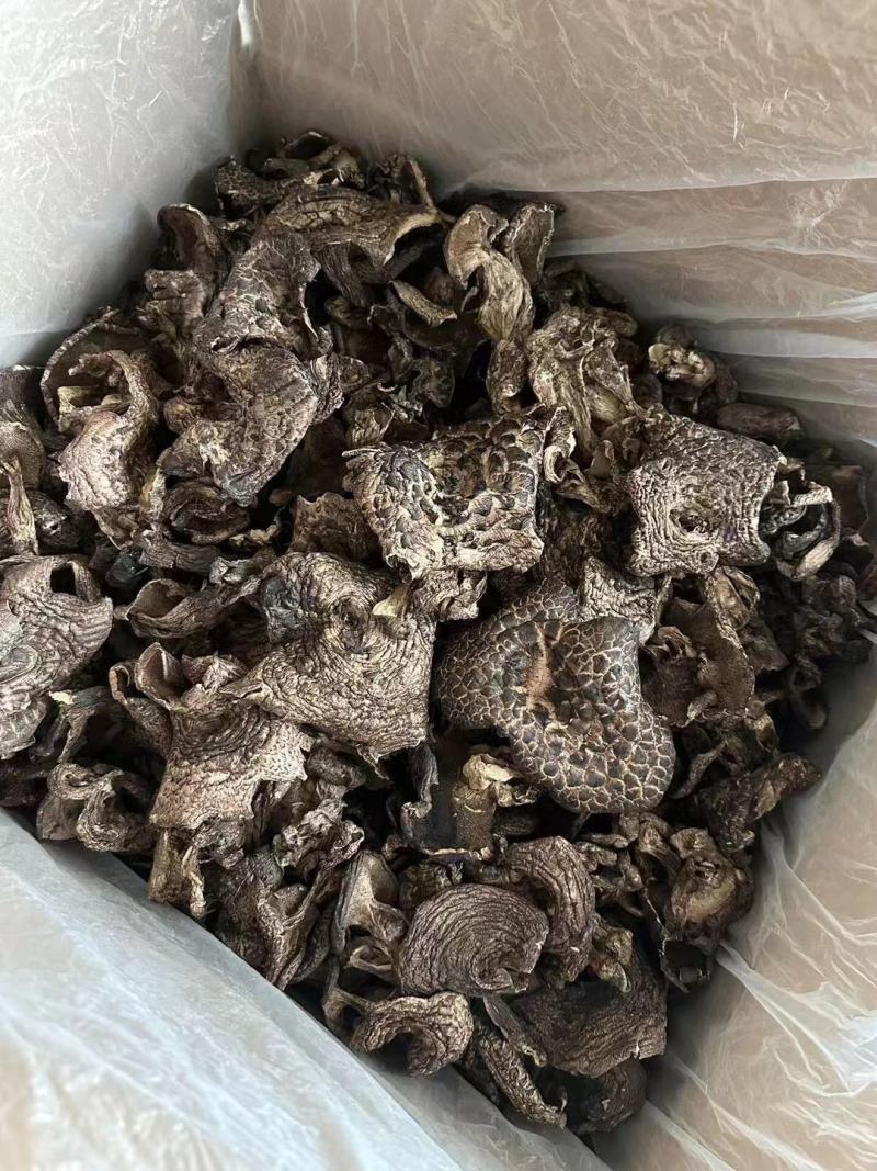 野生黑虎掌云南野生菌干货章子菌一手货源产地直销视频看货