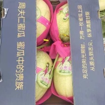 哈密瓜二十五号